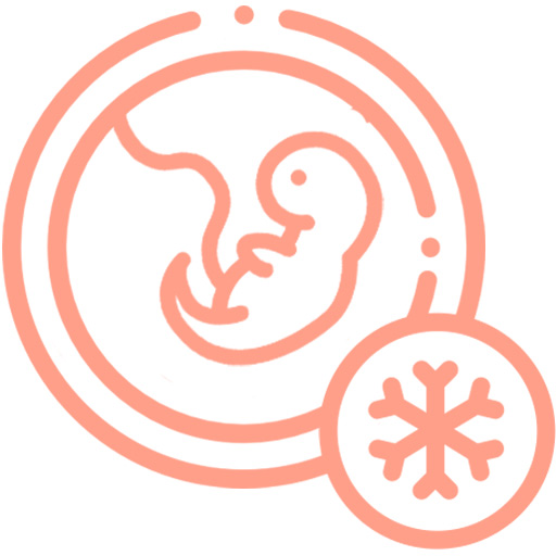 Congelación de embriones por vitrificación