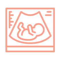 Monitoreo Fetal y Ultrasonido Obstétrico